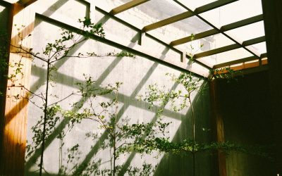 Sustainable Home Design Toronto | Custom Green Homes & Architects